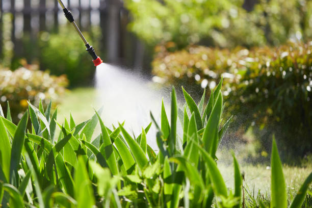 24/7 Emergency Mosquito Control experts in Village Green-Green Ridge, PA