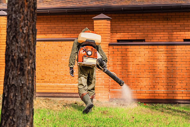 Top rated local Mosquito Control specialists in Village Green-Green Ridge, PA